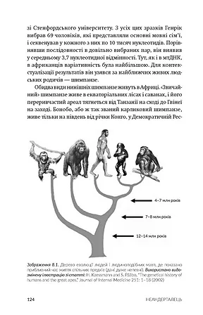 Photo of Неандерталець