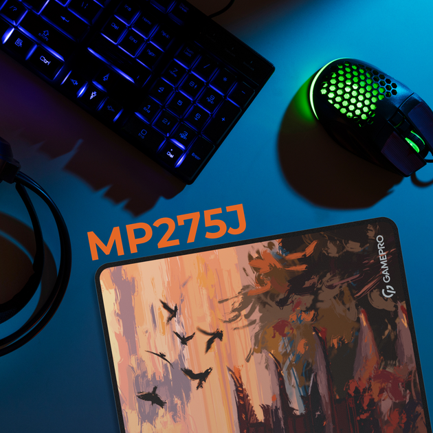 Photo of Ігрова поверхня GamePro MP275J Speed/Control Black