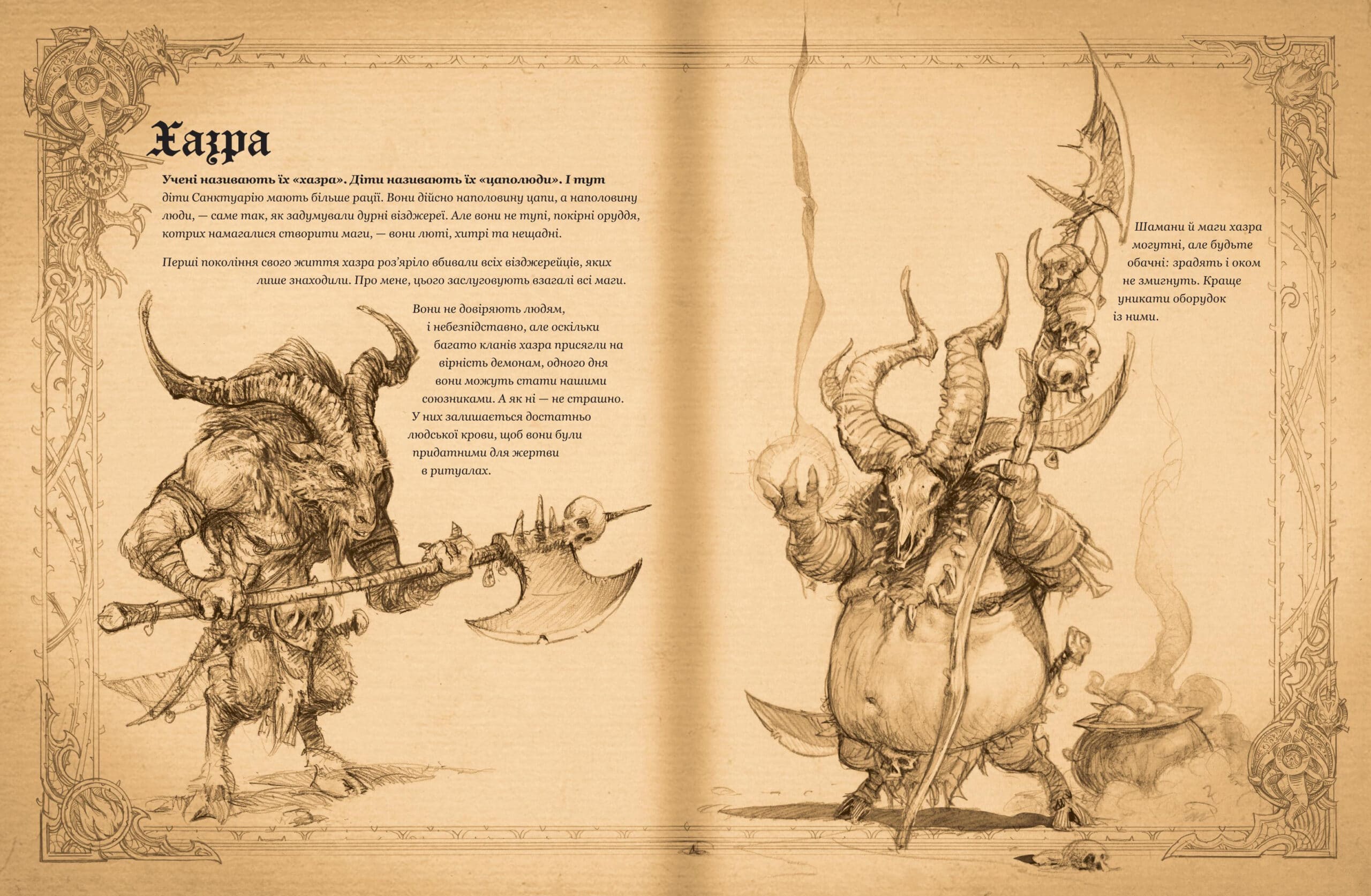 Photo of Diablo. Книга Адрії