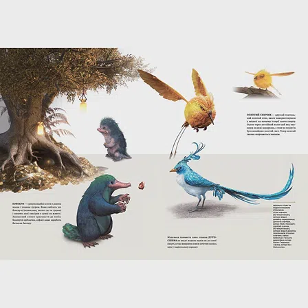 Photo of Артбук Створення світу гри Hogwarts Legacy