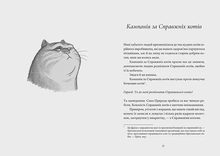 Photo of Справжнісінький кіт