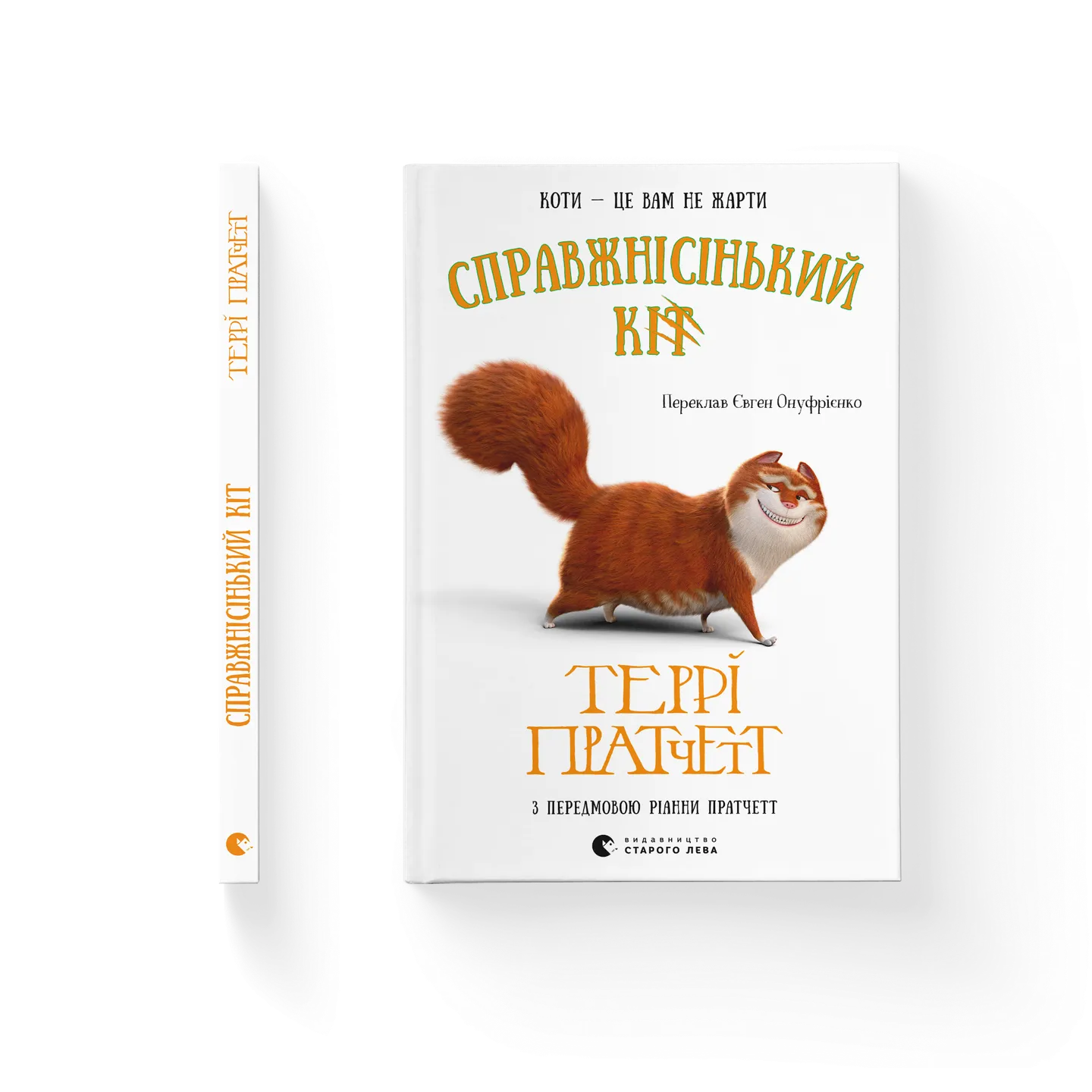 Photo of Справжнісінький кіт
