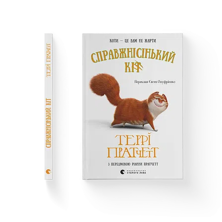 Photo of Справжнісінький кіт