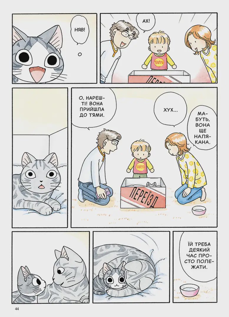 Photo of Чi “Життя однієї киці”. Том 12