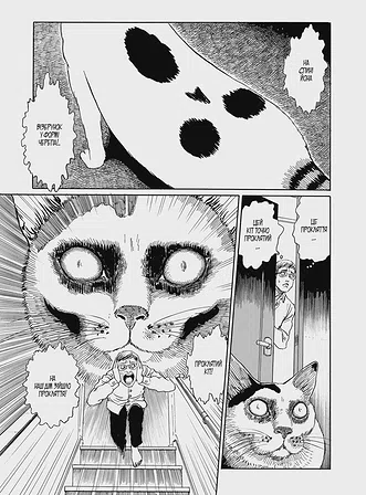 Photo of Котячий щоденник Джюнджі Іто: Йон та Му