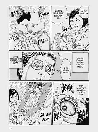 Photo of Котячий щоденник Джюнджі Іто: Йон та Му