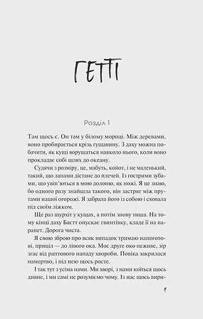 Photo of Дикі дівчата