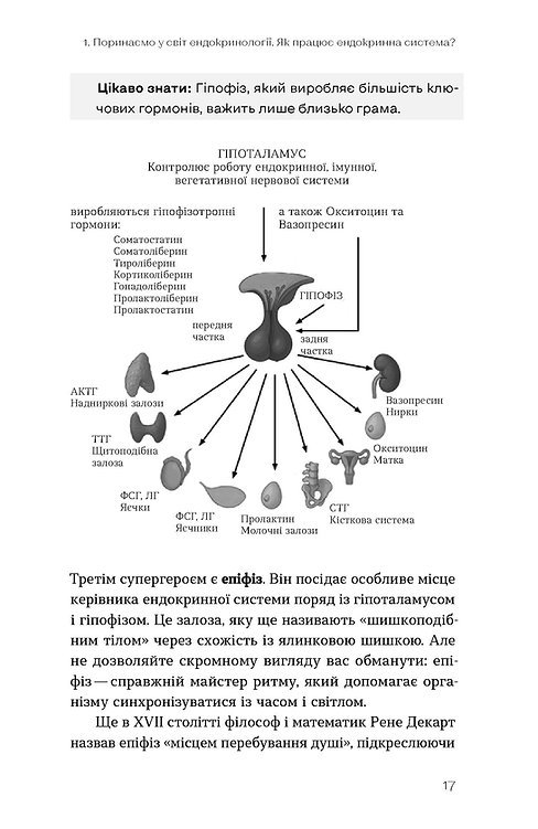 Photo of Магія гормонів. Невидимий диригент вашого життя