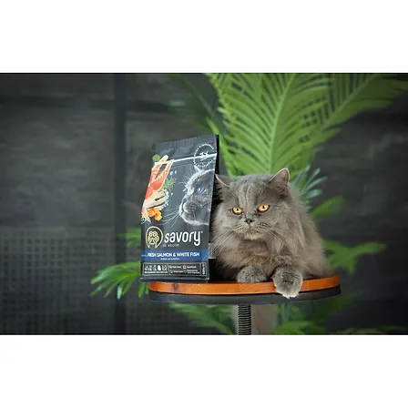 Photo of Корм сухий Savory Adult Cat Gourmand Fresh Salmon and White Fish для дорослих котів зі свіжим лососем і білою рибою 400 г