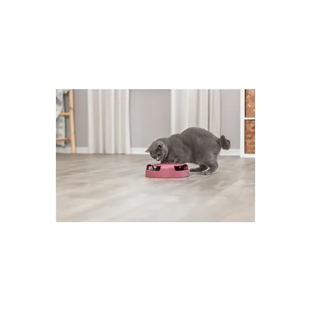 Photo of Іграшка Trixie Catch The Mouse для котів Трек ігровий з плюшевою мишкою пластик 25х6 см