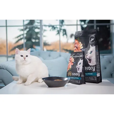 Photo of Корм сухий Savory Kitten rich in Fresh Turkey and Chicken для кошенят всіх порід зі свіжою індичкою та куркою 400 г