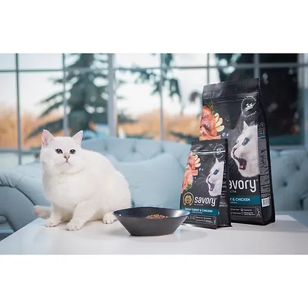 Photo of Корм сухий Savory Kitten rich in Fresh Turkey and Chicken для кошенят всіх порід зі свіжою індичкою та куркою 2 кг