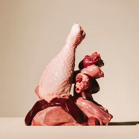 Photo of Корм сухий Carnilove True Fresh Turkey Sterilised для стерилізованих котів індичка 400 г