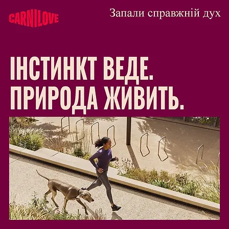 Photo of Корм вологий Carnilove Lamb & Wild Boar для собак паштет ягня і дикий кабан 400 г