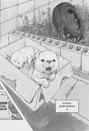 Photo of Песик, який пильнує зірки, Том 2